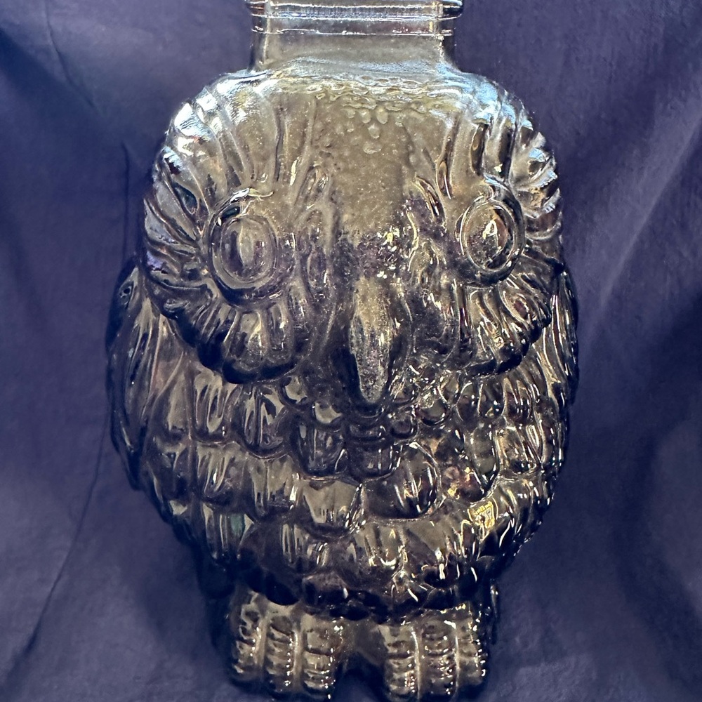 Vintage 1970s Libbey  Smoke Glass Wise Old Owl Bank Retro Decor Stamped
